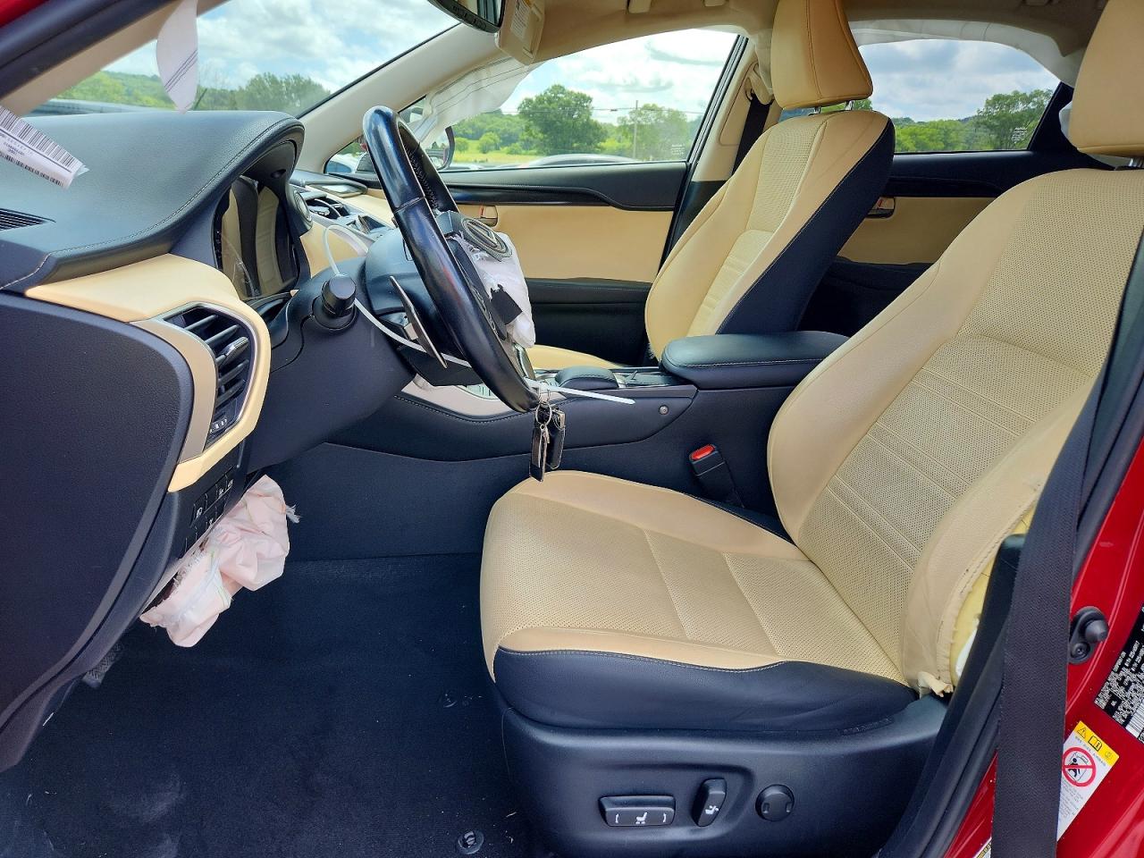 JTJBARBZ5K2212063 · 2019 LEXUS NX 300 · 7/13