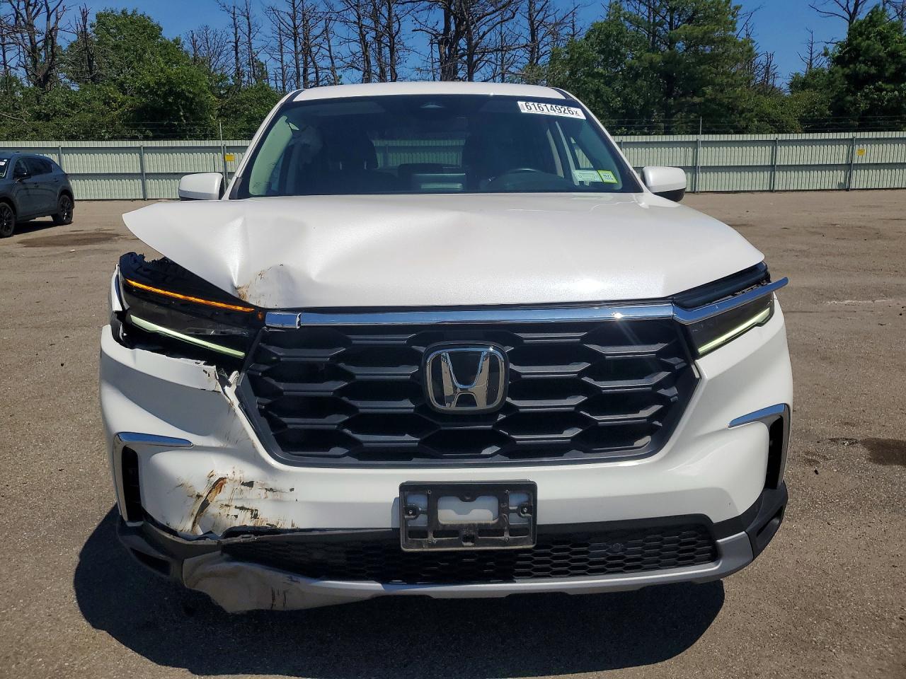 5FNYG1H46RB045776 · 2024 HONDA PILOT · 5/13