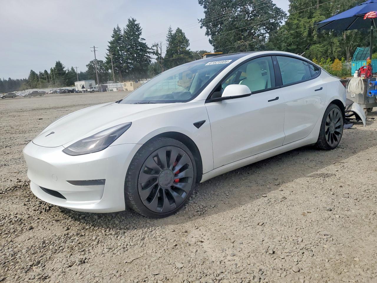 5YJ3E1EC8PF560920 · 2023 TESLA MODEL 3