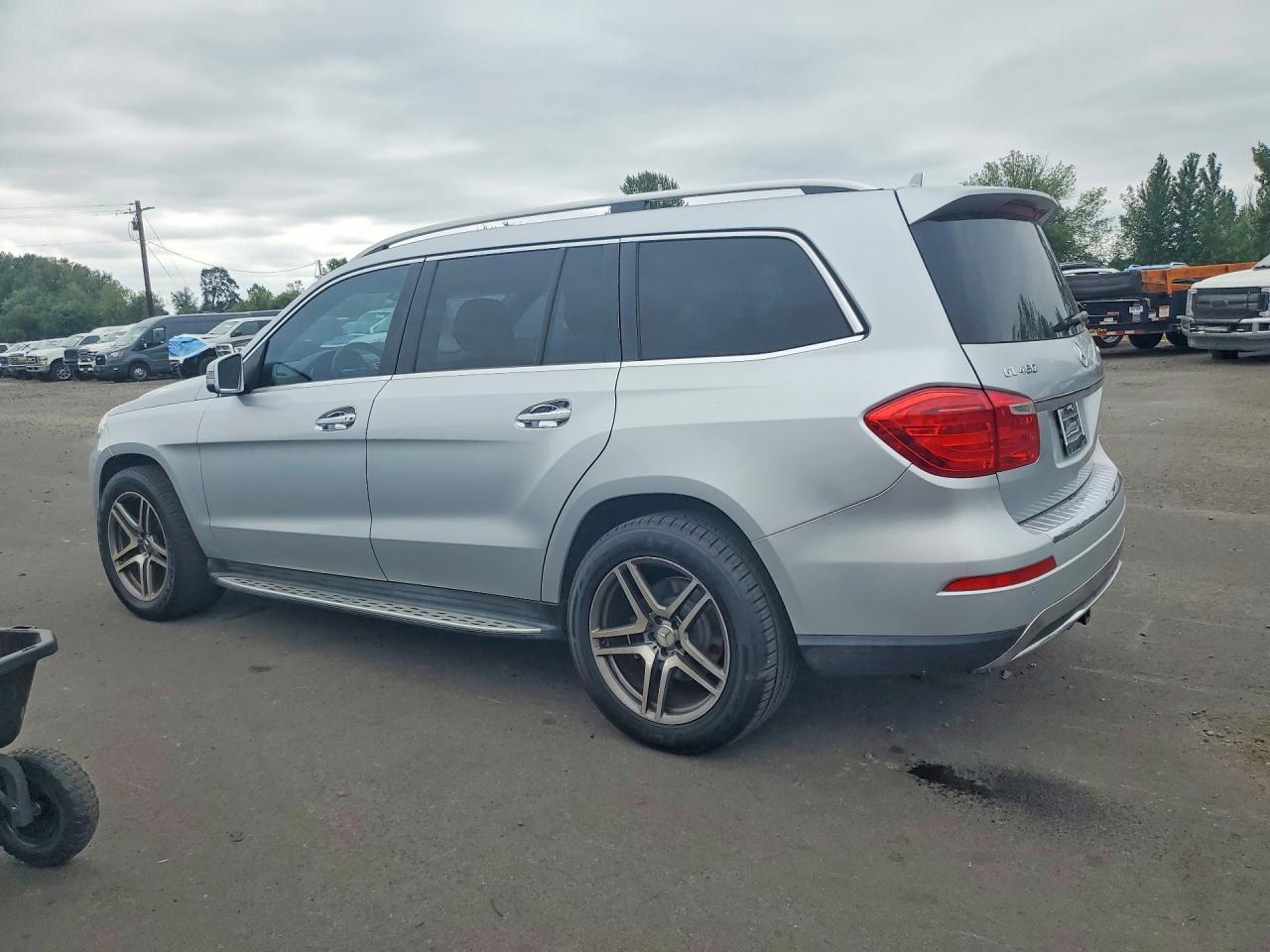 4JGDF7CE6DA251438 · 2013 MERCEDES-BENZ GL · 2/12