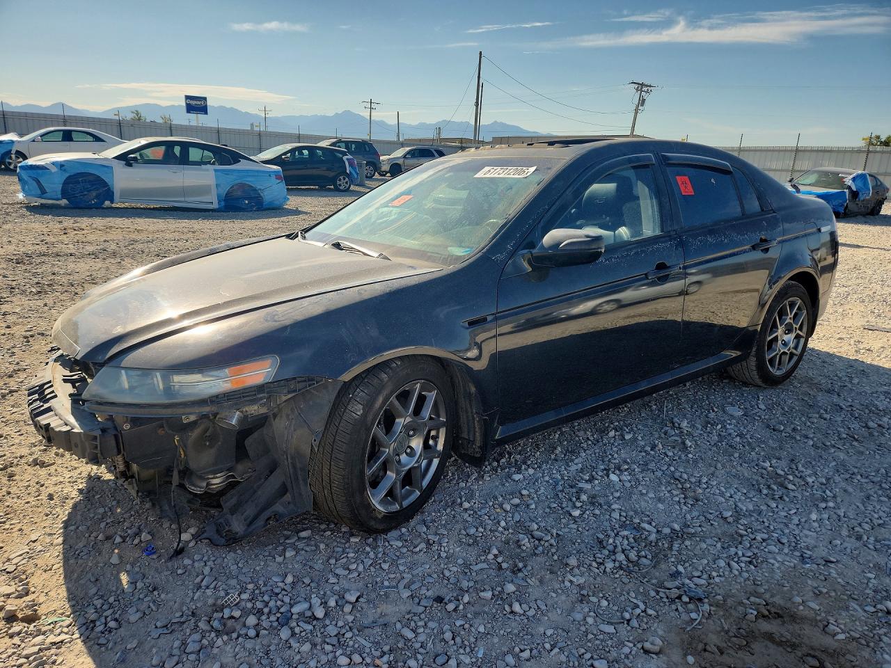 19UUA76517A004557 · 2007 ACURA TL