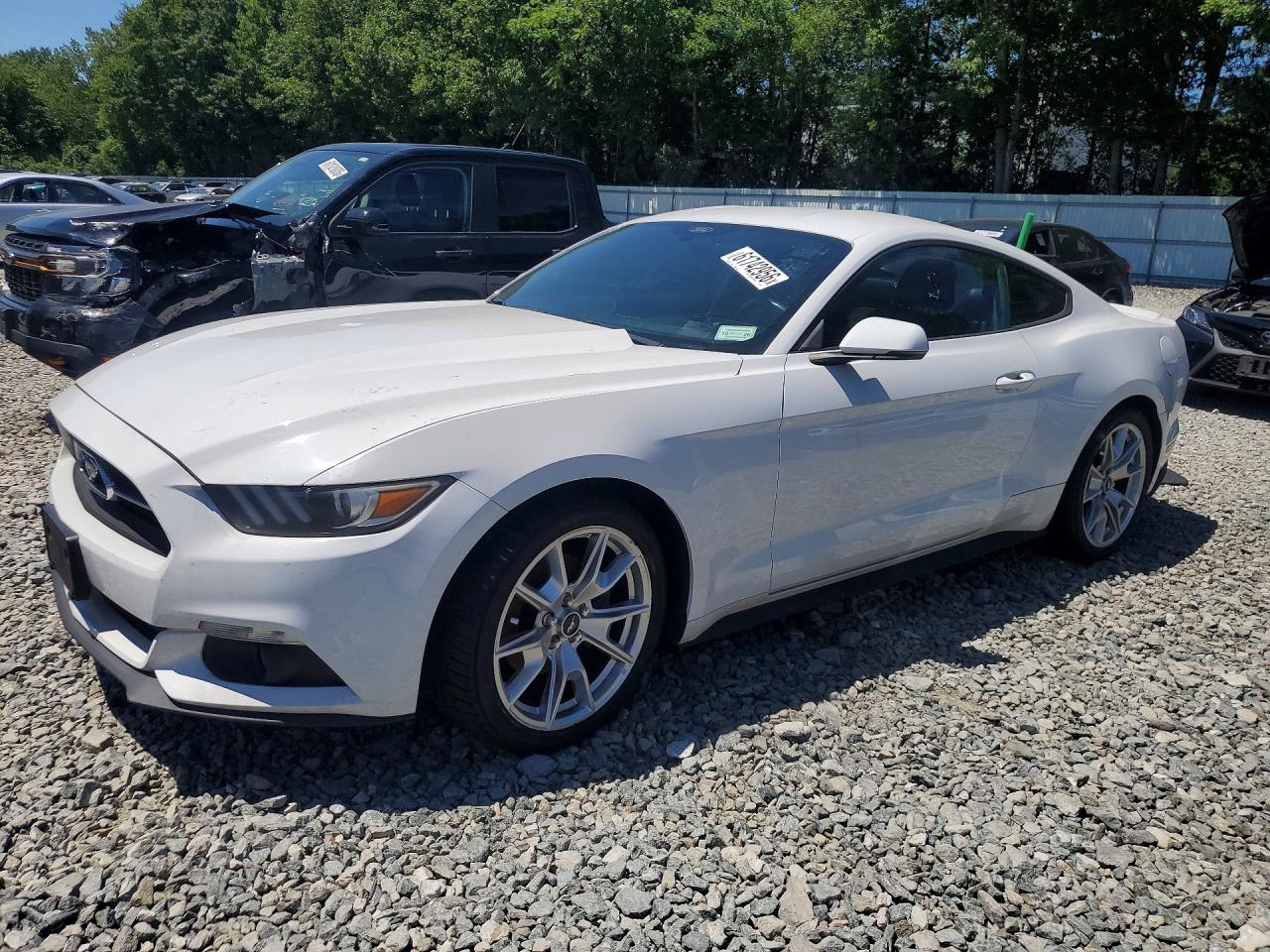 1FA6P8TH1F5310679 · 2015 FORD MUSTANG