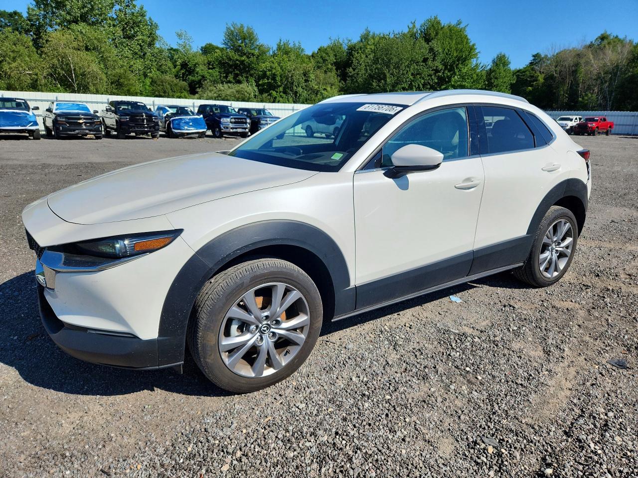 3MVDMBDM2RM711996 · 2024 MAZDA CX-30