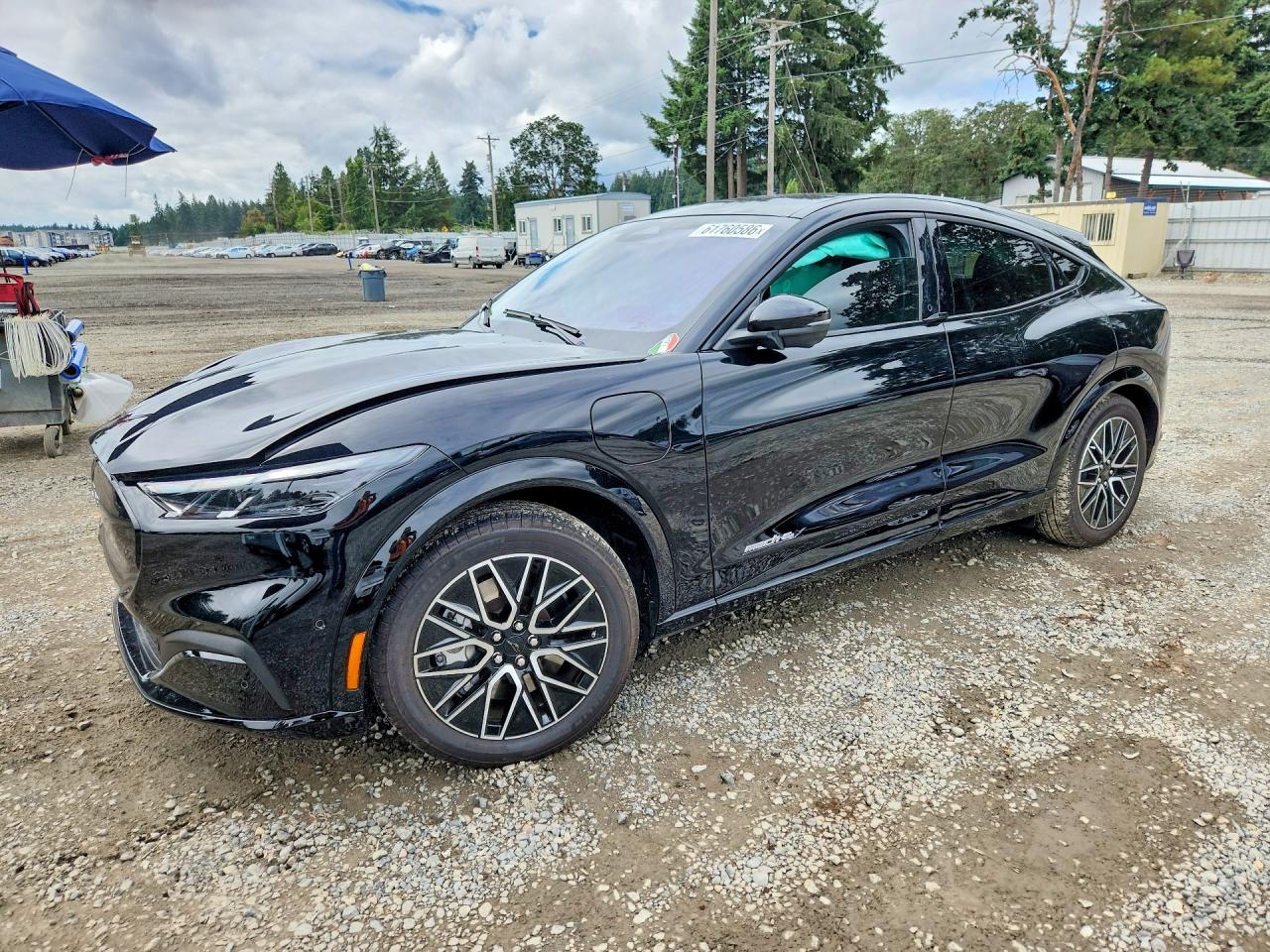 3FMTK3SU8RMA20172 · 2024 FORD MUSTANG MACH-E