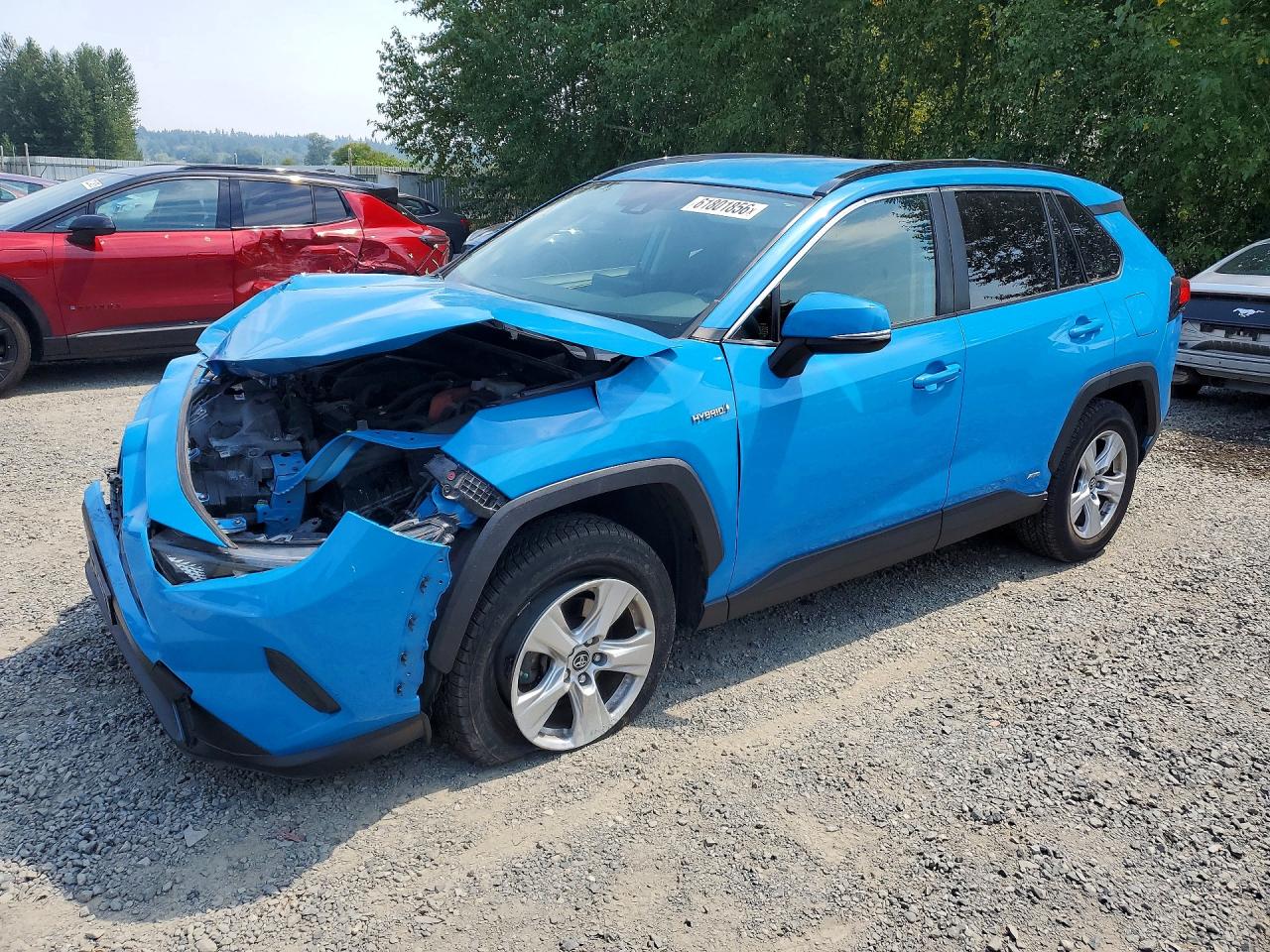 JTMMWRFV4KD011568 · 2019 TOYOTA RAV4