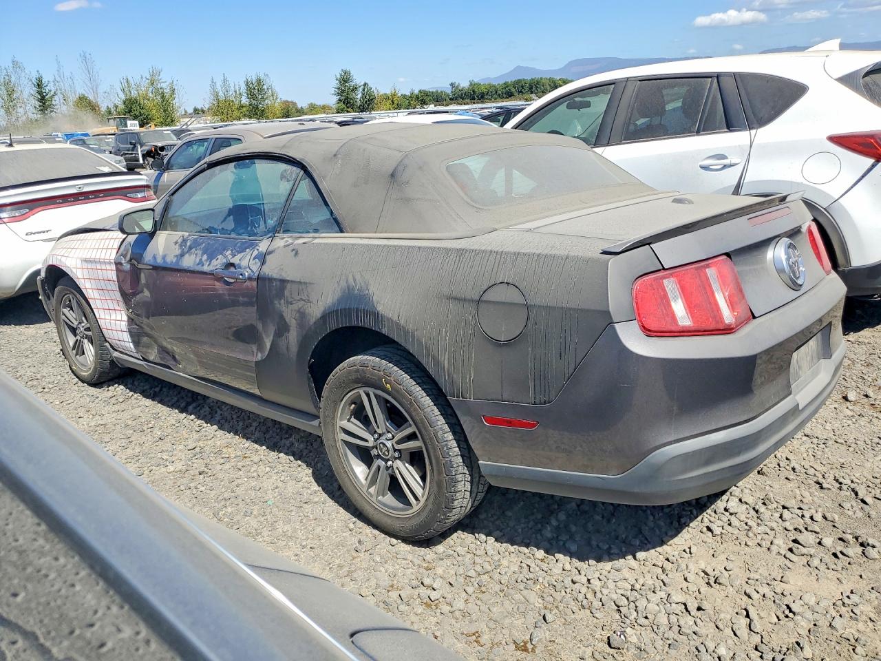 1ZVBP8EN6A5124640 · 2010 FORD MUSTANG · 2/12