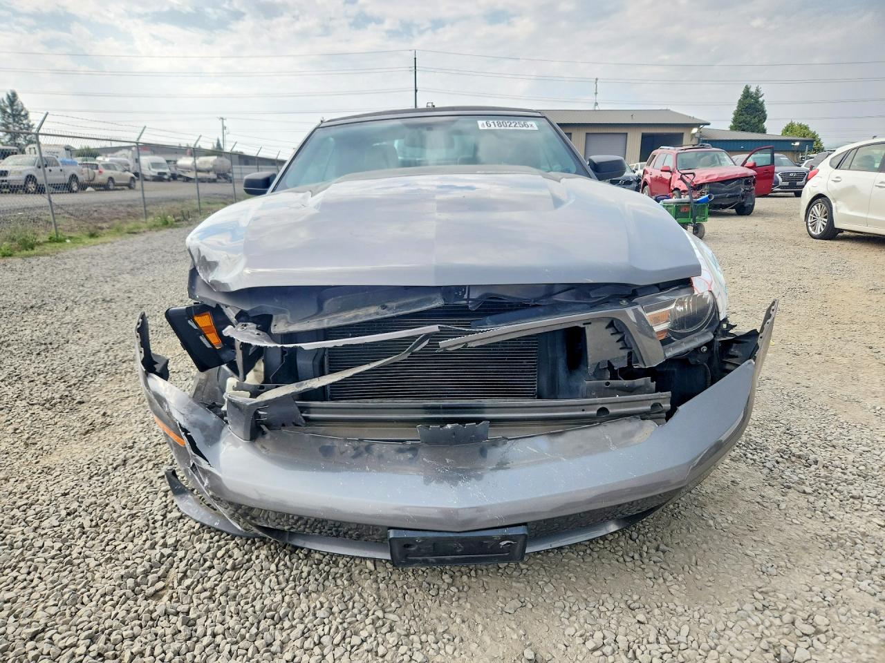 1ZVBP8EN6A5124640 · 2010 FORD MUSTANG · 5/12