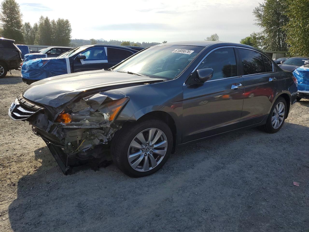 2011 HONDA ACCORD
