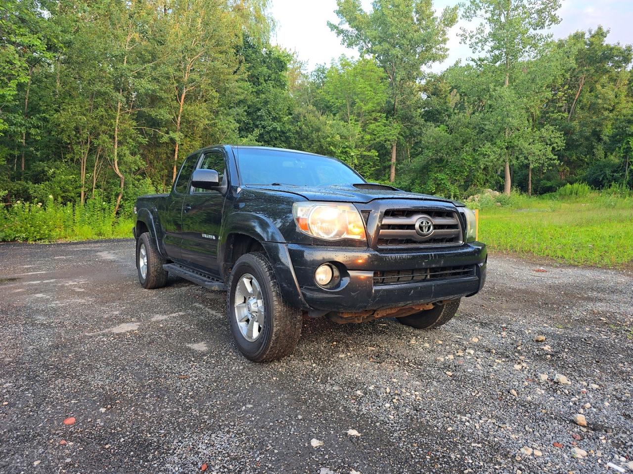 5TEUU42N29Z609836 · 2009 TOYOTA TACOMA