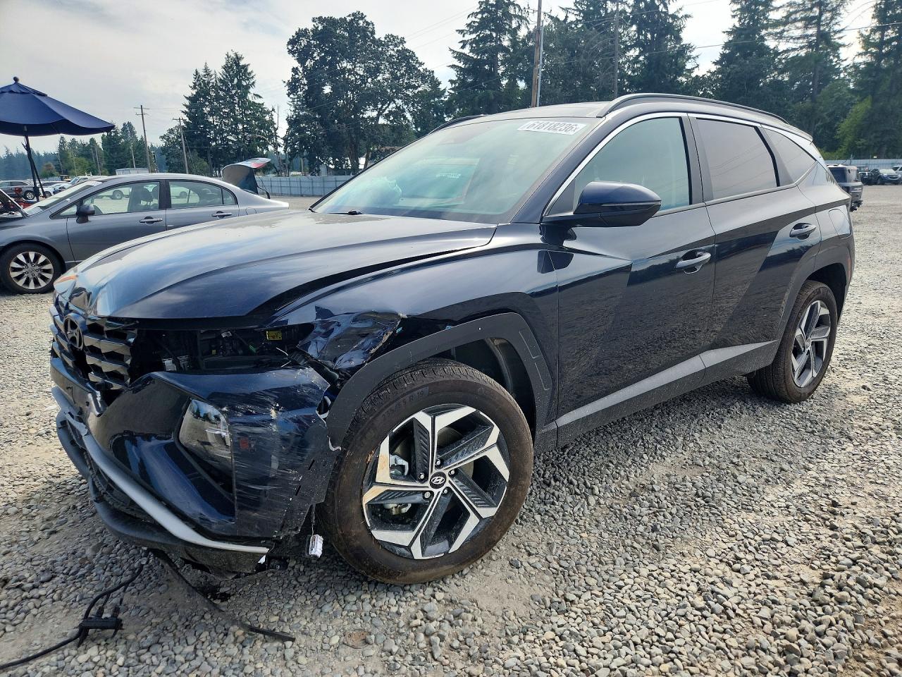KM8JCCD17RU219541 · 2024 HYUNDAI TUCSON