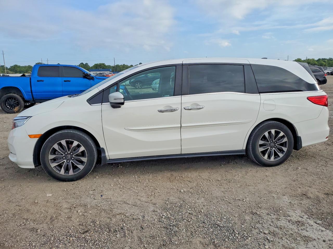 5FNRL6H6XRB007868 · 2024 HONDA ODYSSEY