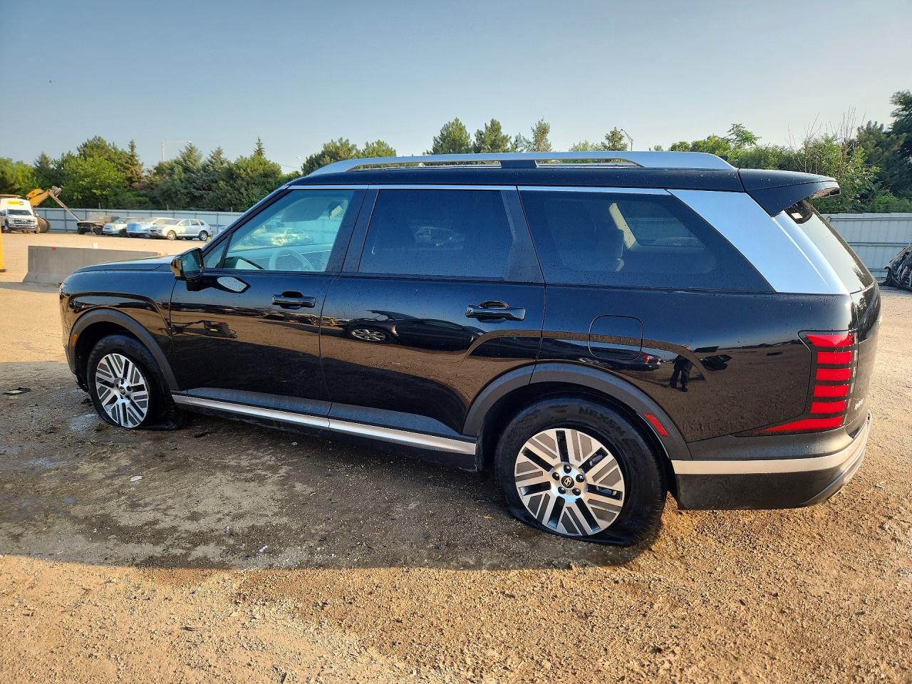 KM8RLESA0TU069359 · 2026 HYUNDAI PALISADE · 2/13