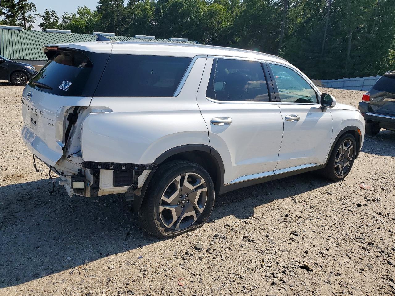 KM8R5DGE2PU528946 · 2023 HYUNDAI PALISADE · 3/13