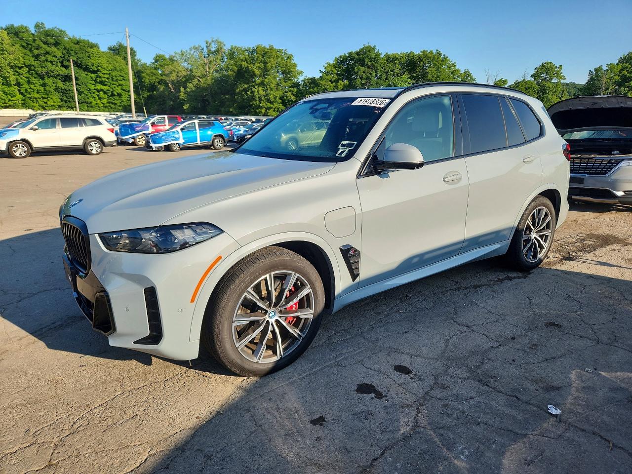 5UX43EU03R9S73098 · 2024 BMW X5