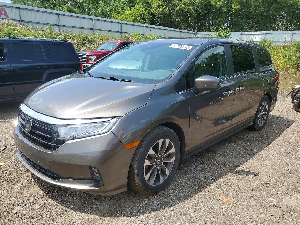 5FNRL6H77NB064984 · 2022 HONDA ODYSSEY