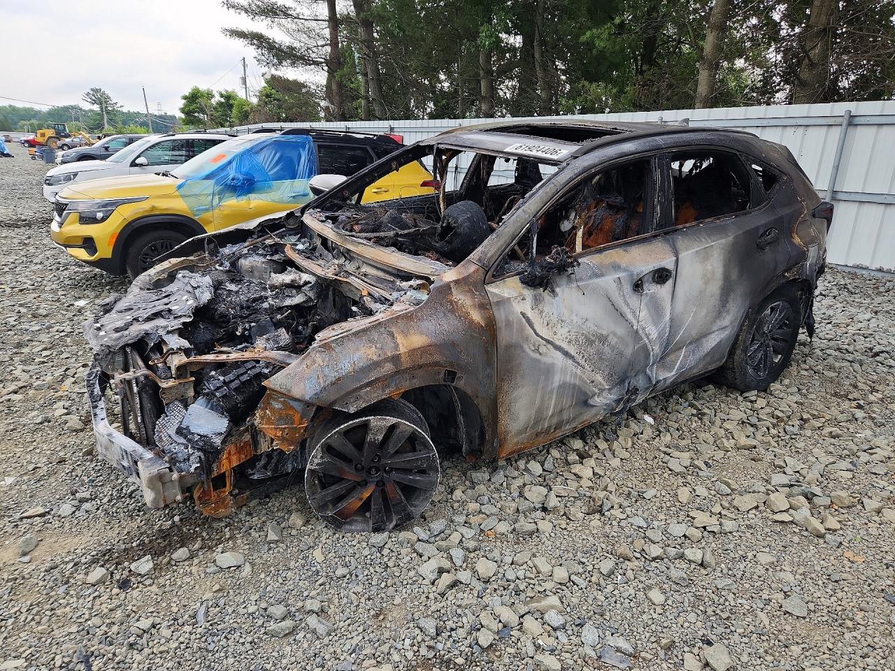 JTJBARBZ3K2210313 · 2019 LEXUS NX