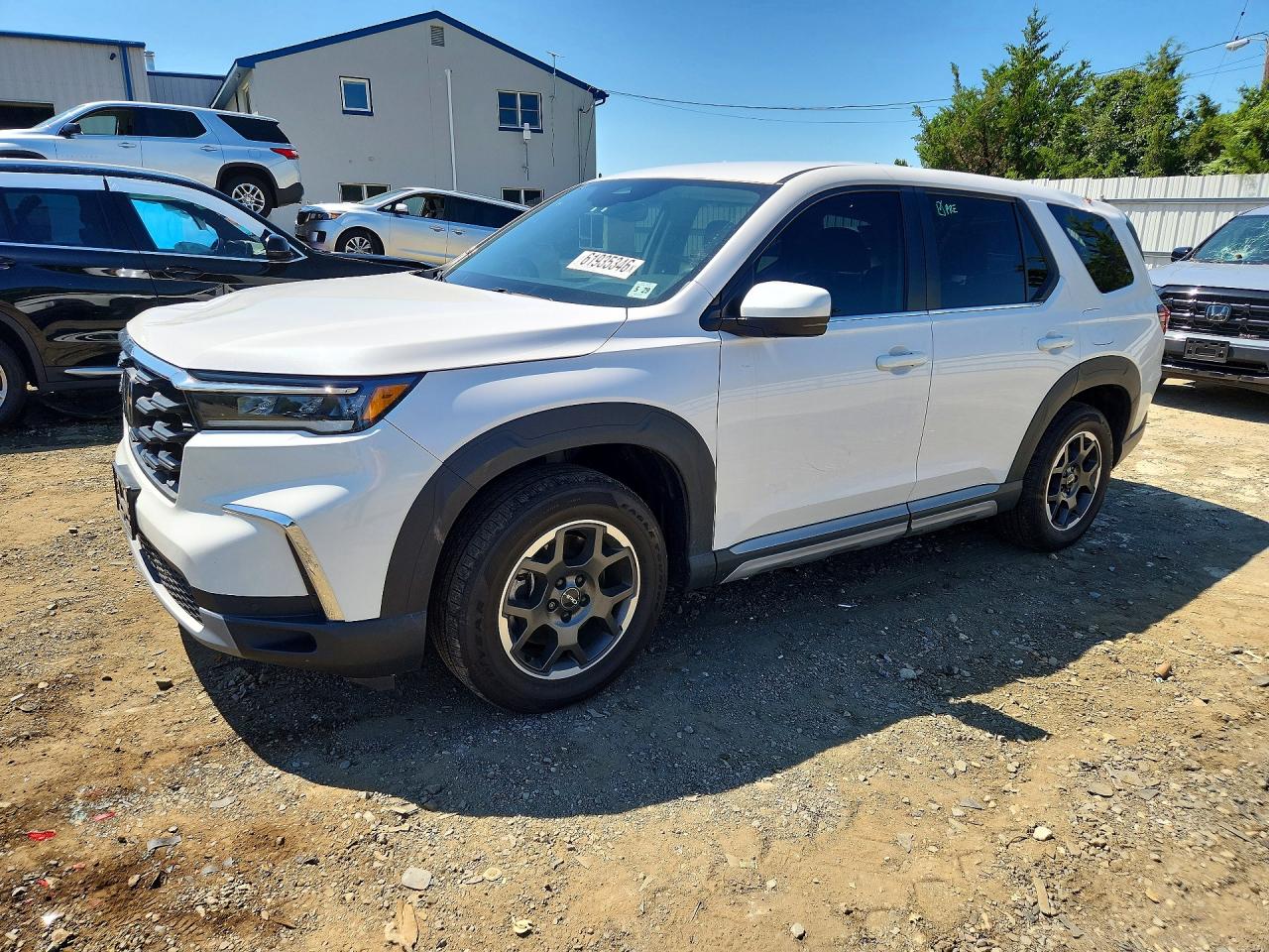 5FNYG1H40RB033414 · 2024 HONDA PILOT