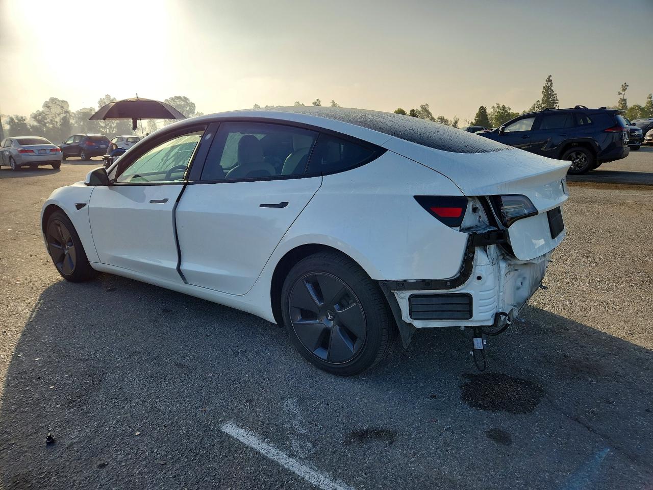 5YJ3E1EA7NF124510 · 2022 TESLA MODEL 3 · 2/12