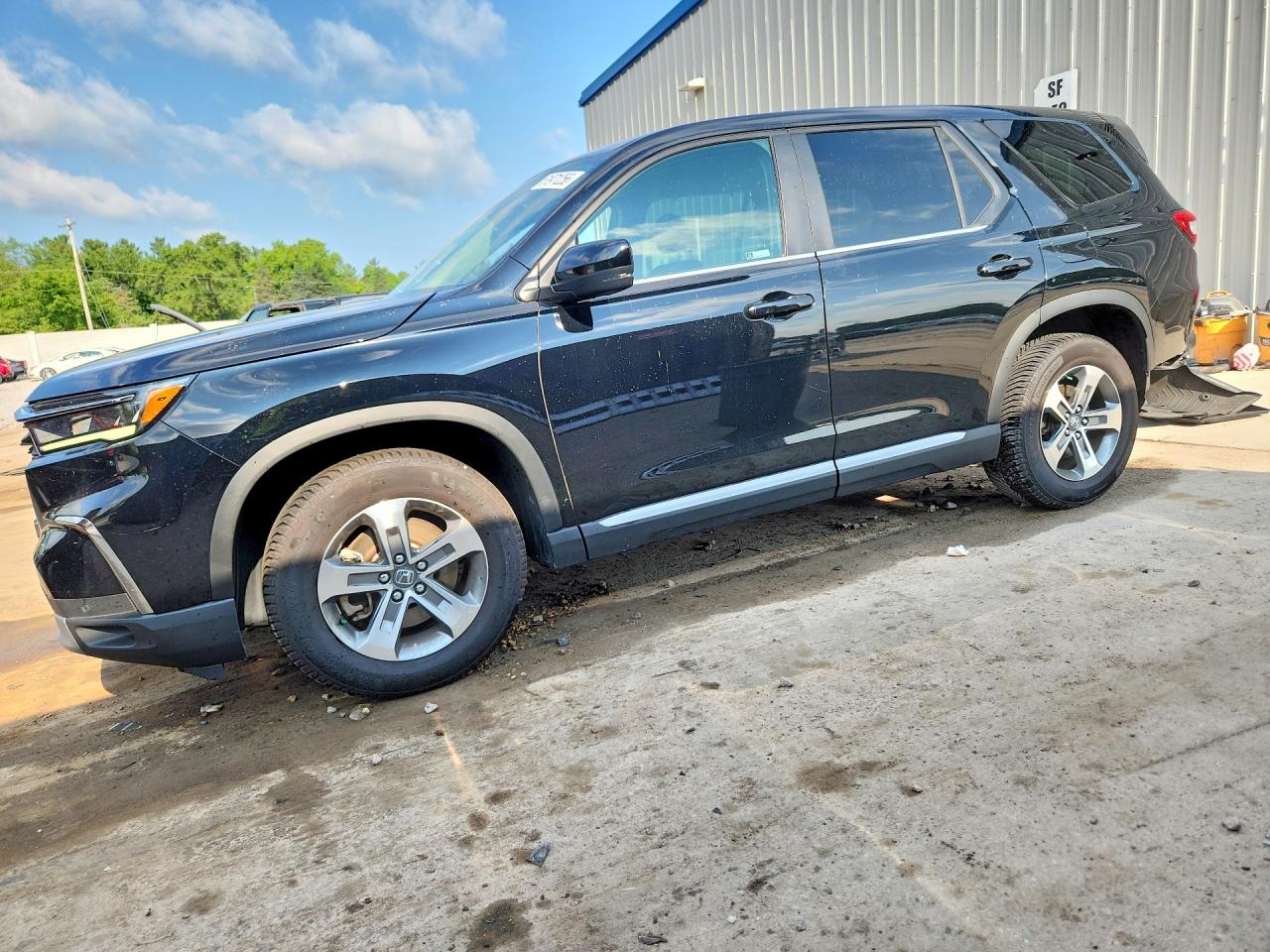 5FNYG1H50PB031779 · 2023 HONDA PILOT