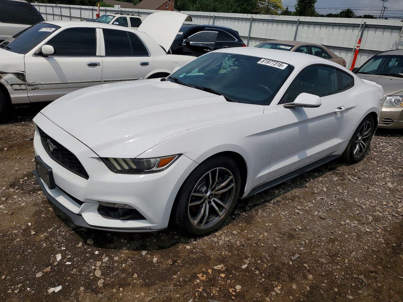 1FA6P8TH1H5256223 · 2017 FORD MUSTANG