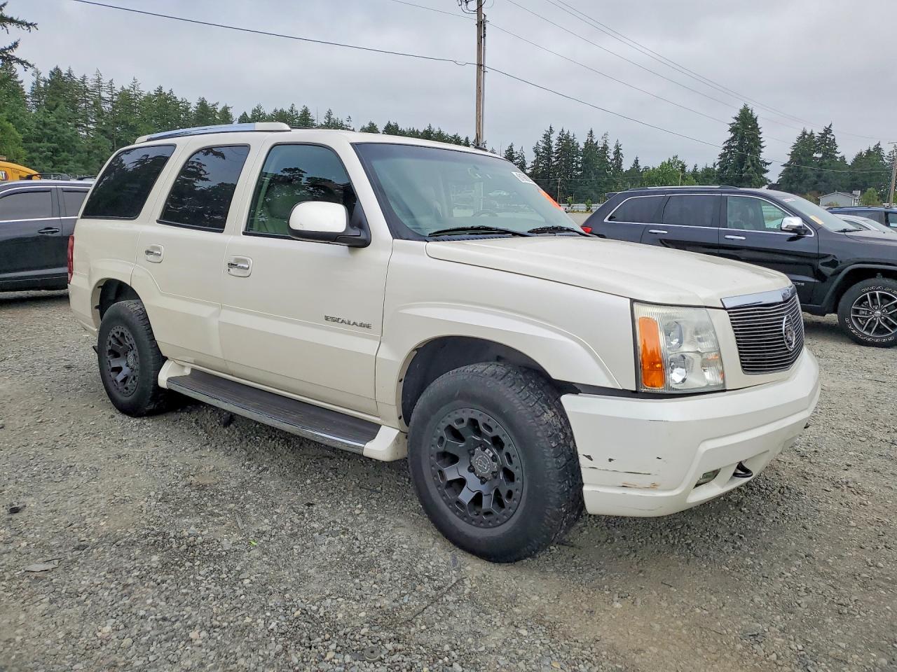 1GYEK63N33R111243 · 2003 CADILLAC ESCALADE · 4/13