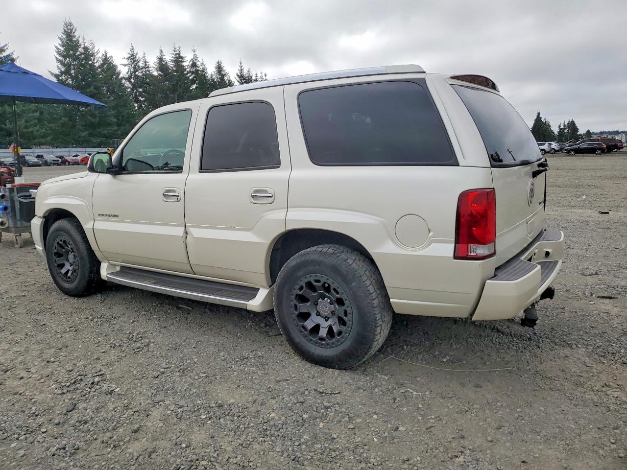 1GYEK63N33R111243 · 2003 CADILLAC ESCALADE · 2/13