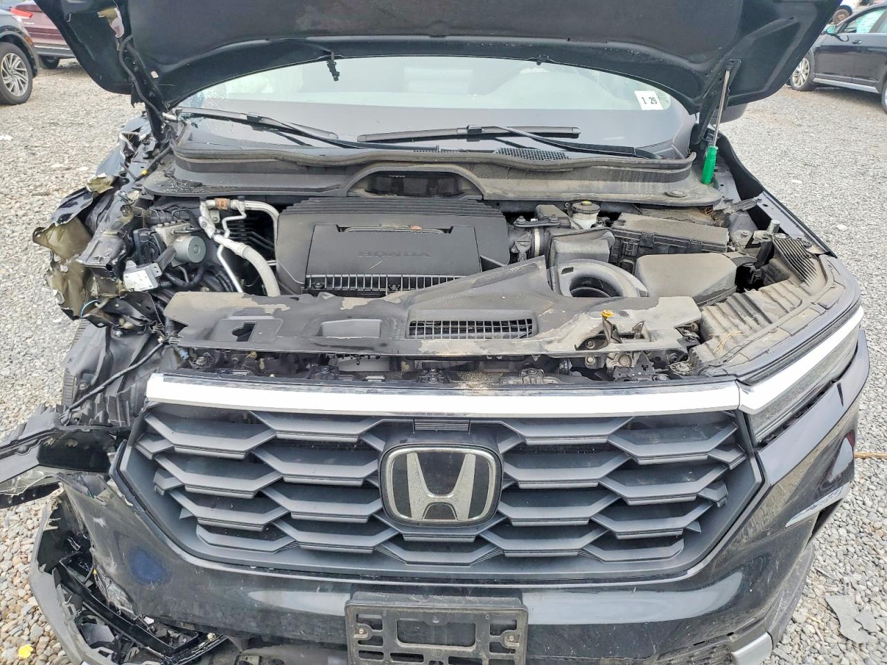 5FNYG1H40RB030402 · 2024 HONDA PILOT · 12/13
