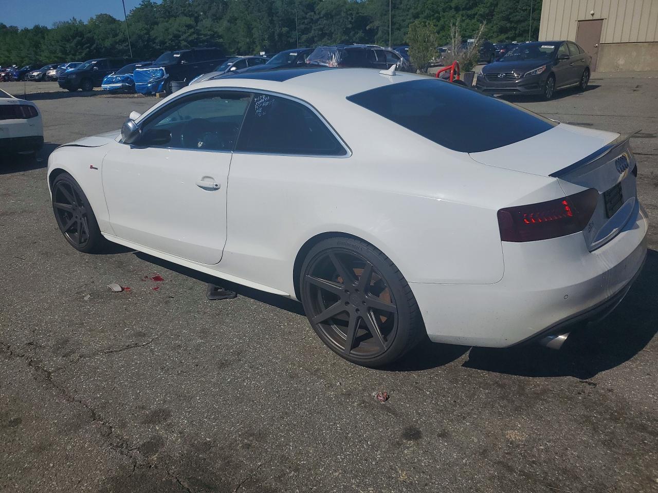 WAUCGAFR8DA031496 · 2013 AUDI S5 · 2/12