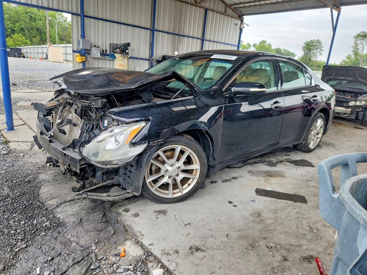1N4AA51E29C834619 · 2009 NISSAN MAXIMA