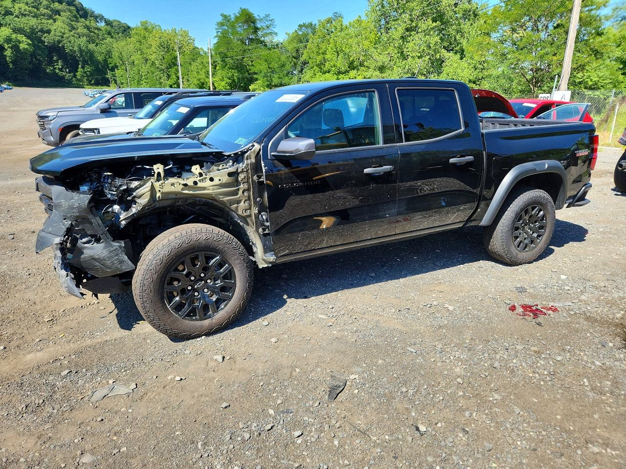 1GCPTEEK8S1245347 · 2025 CHEVROLET COLORADO