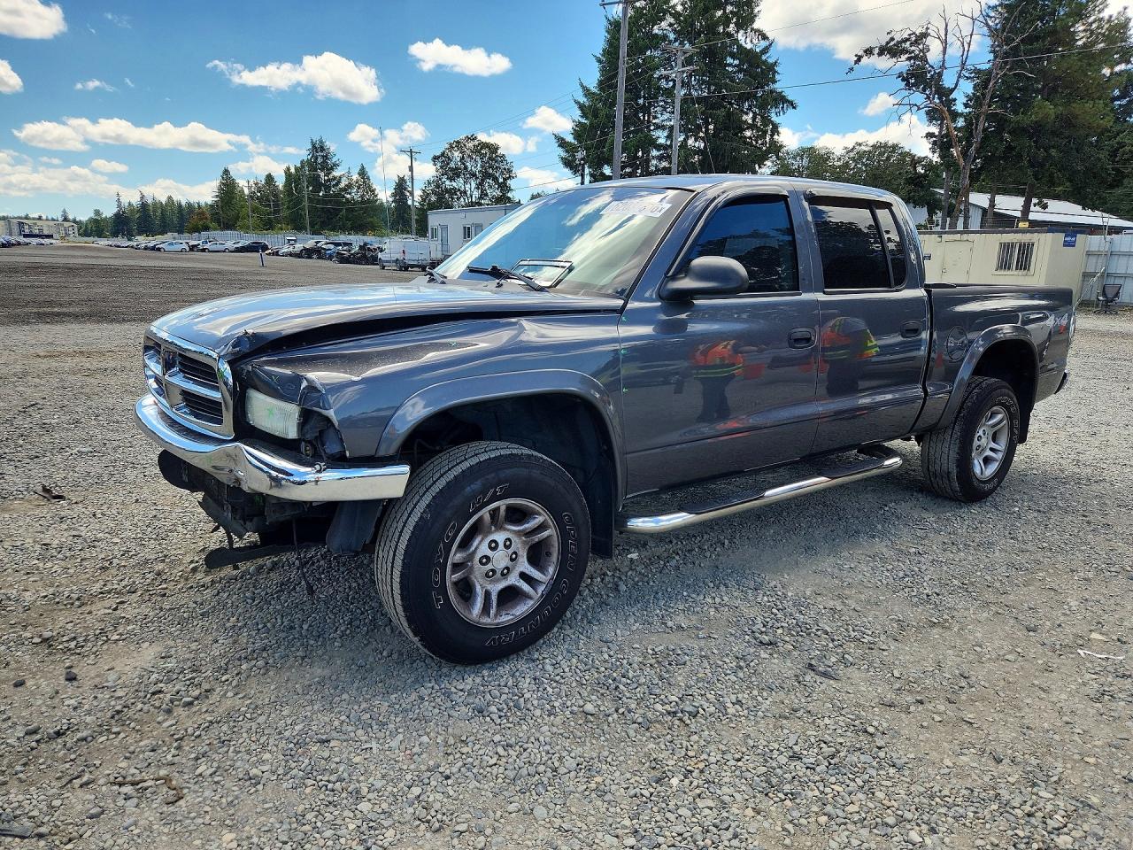 1D7HG48N64S718366 · 2004 DODGE DAKOTA