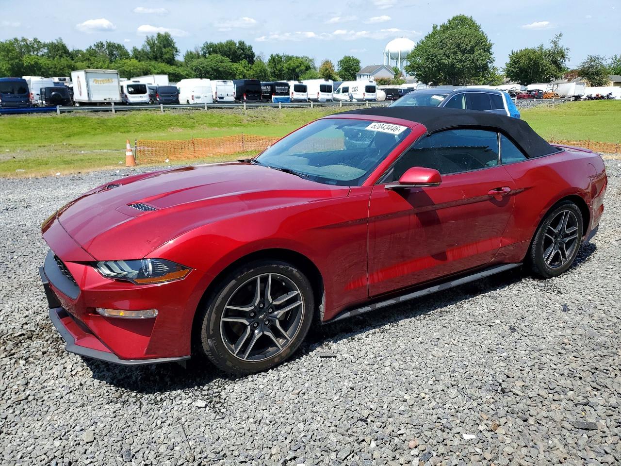1FATP8UH3K5116263 · 2019 FORD MUSTANG