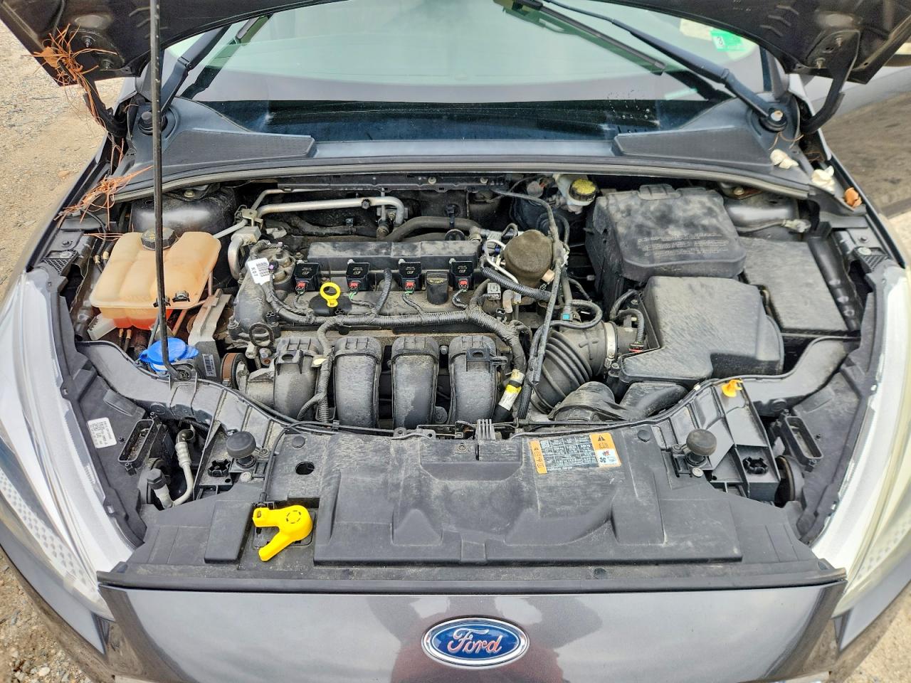 1FADP3K26FL200164 · 2015 FORD FOCUS · 12/13