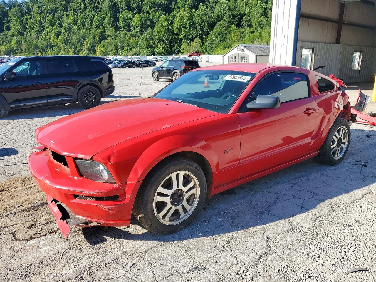 1ZVFT82H555103781 · 2005 FORD MUSTANG
