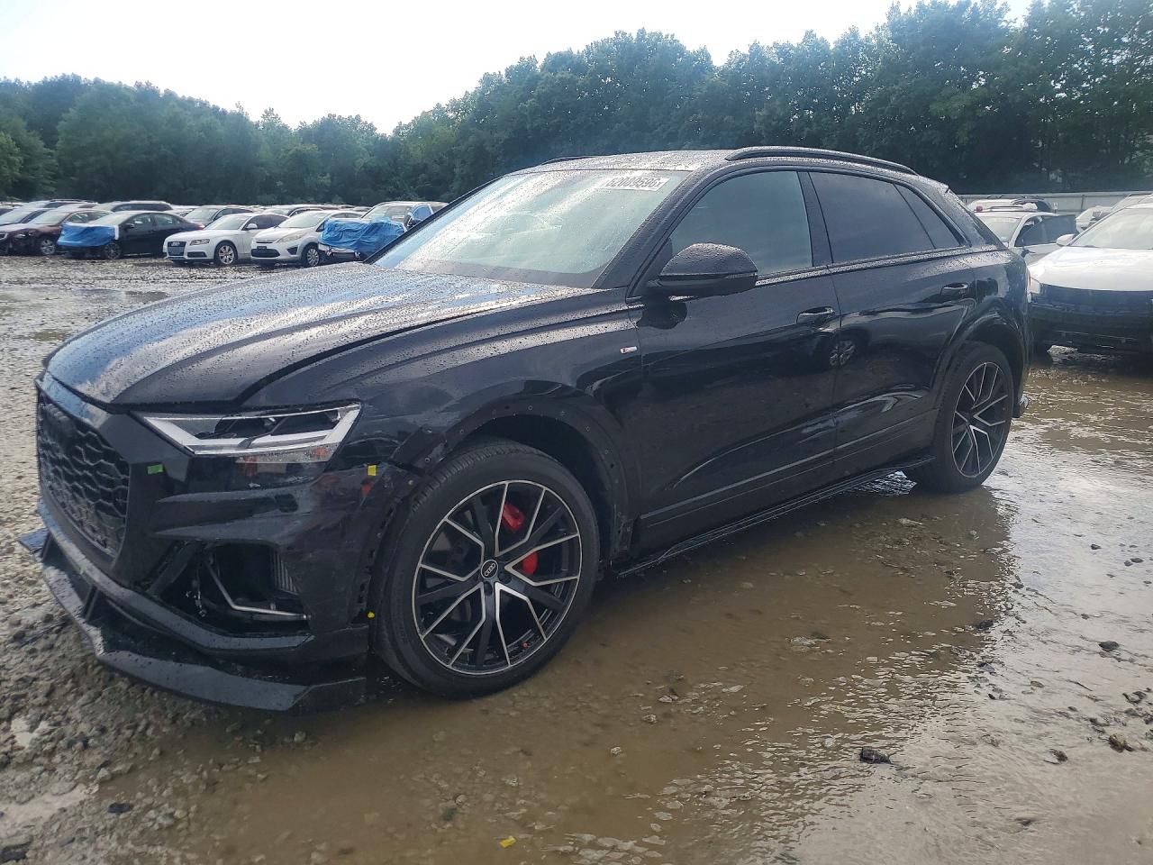 2021 AUDI Q8