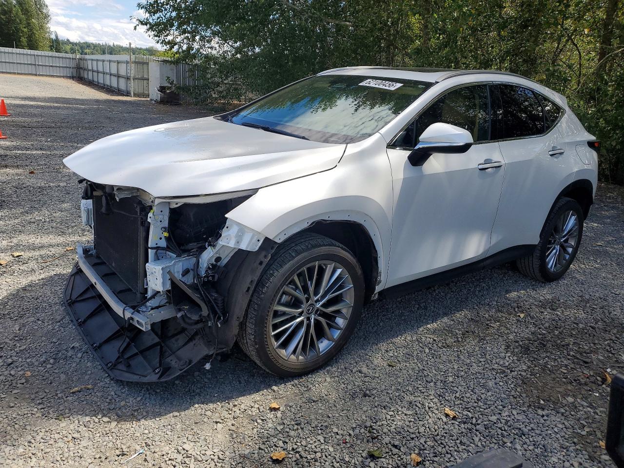2T2GKCEZ9PC010278 · 2023 LEXUS NX