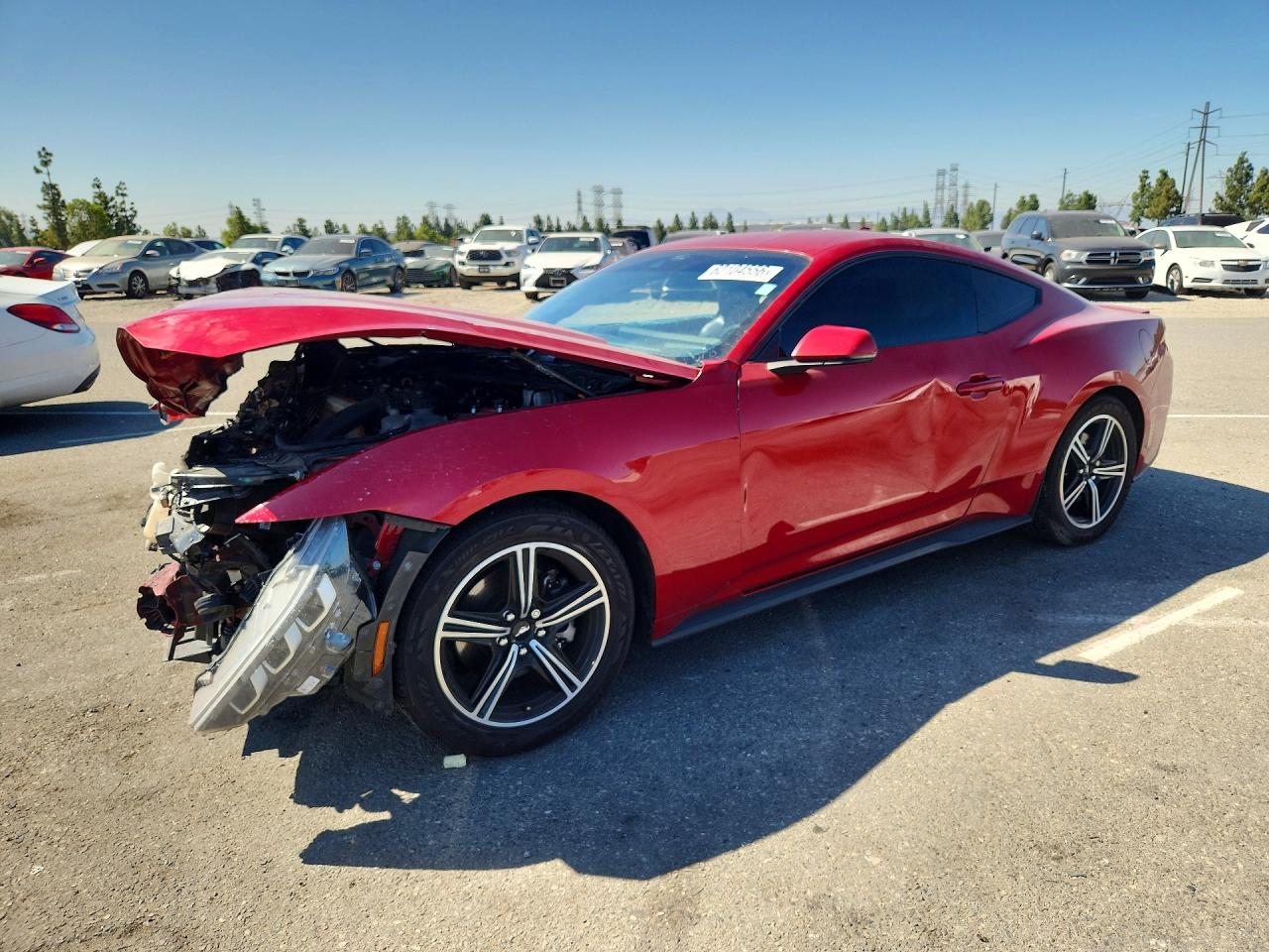 1FA6P8TH2R5117462 · 2024 FORD MUSTANG
