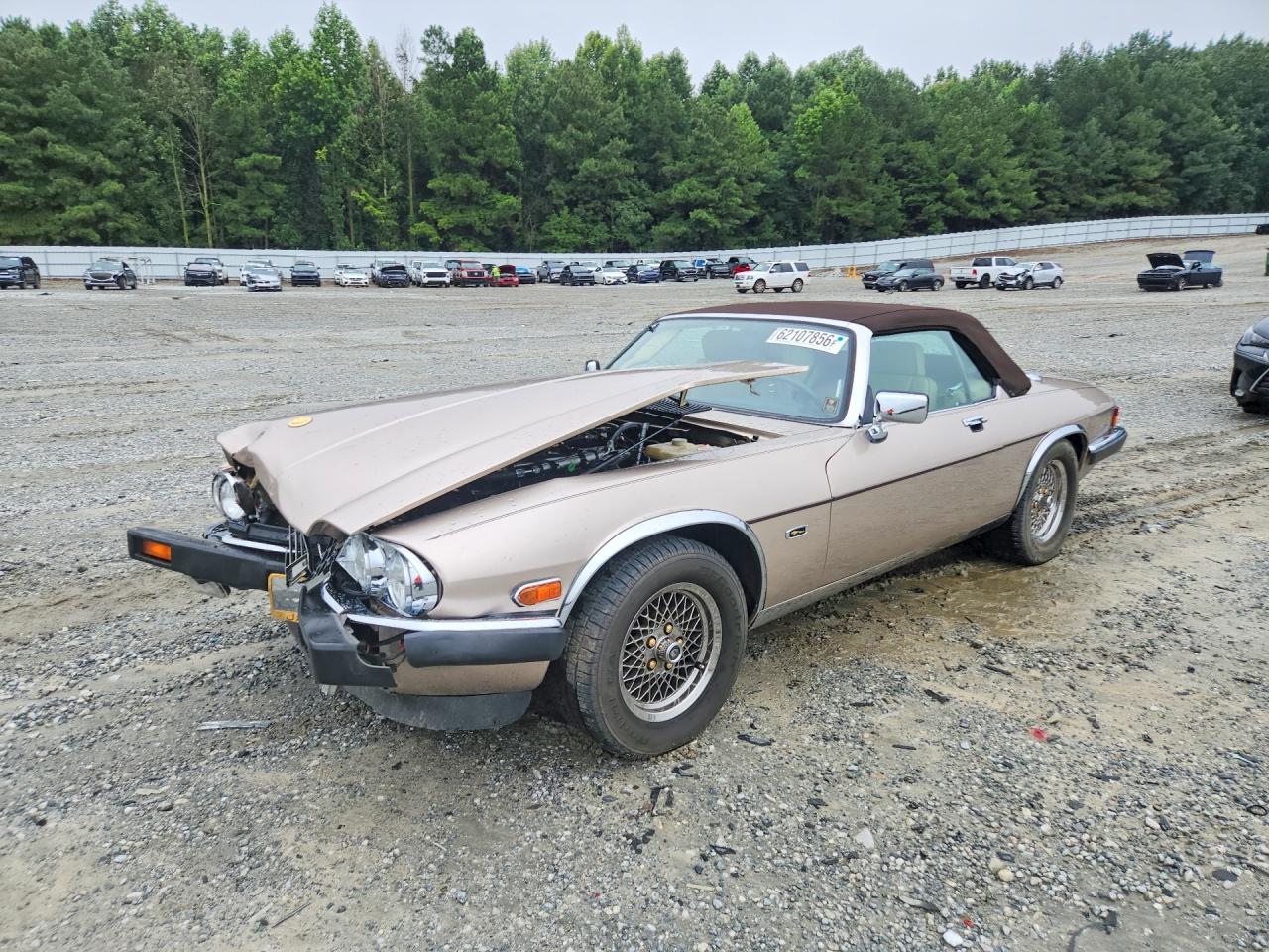 SAJTW484XMC177039 · 1991 JAGUAR XJS