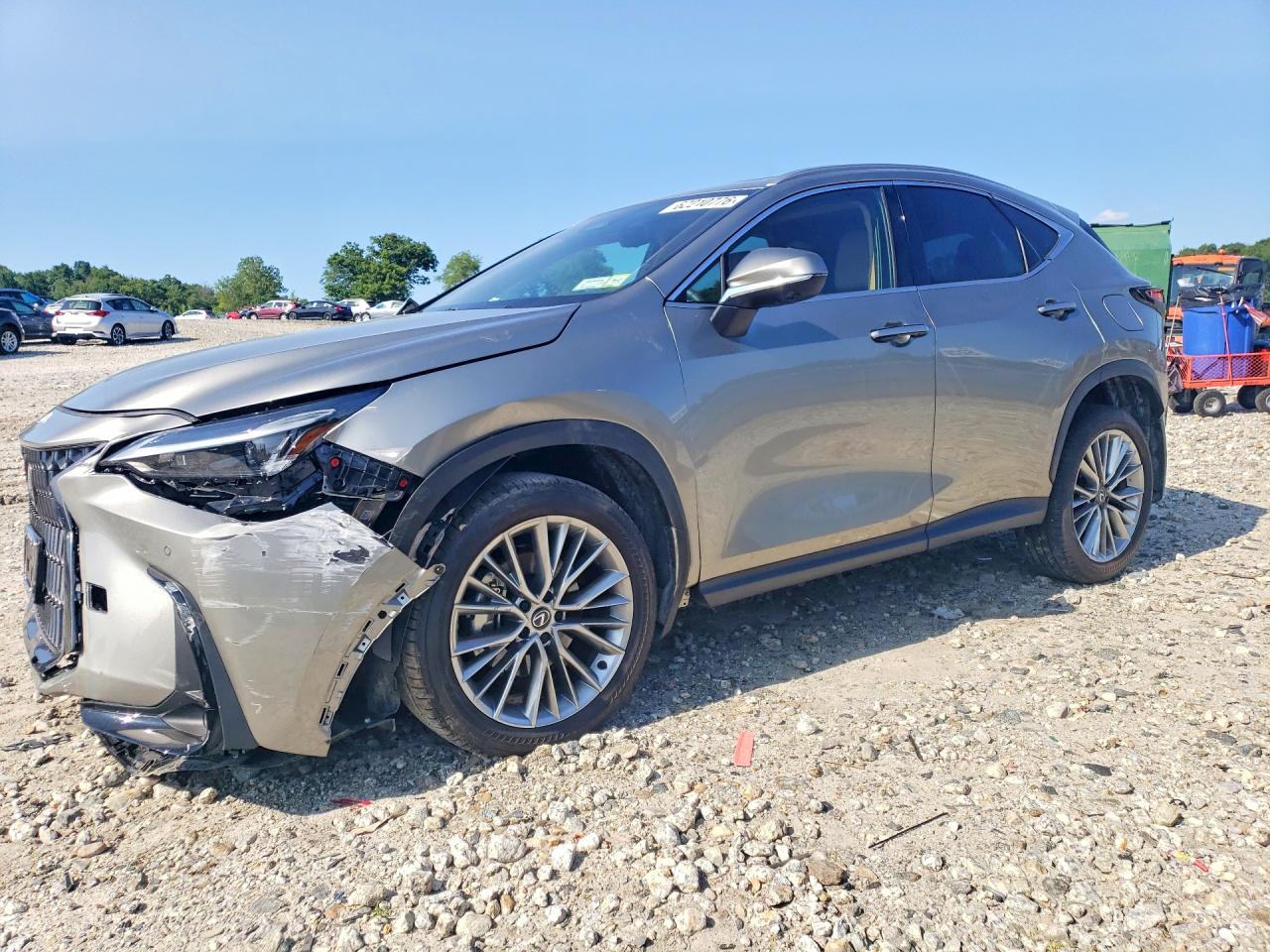 2025 LEXUS NX