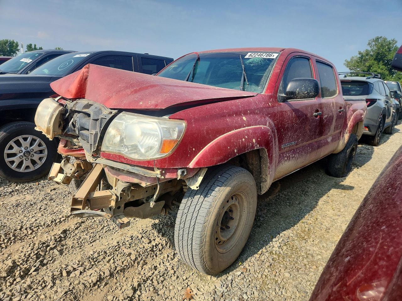 3TMLU42N99M025393 · 2009 TOYOTA TACOMA