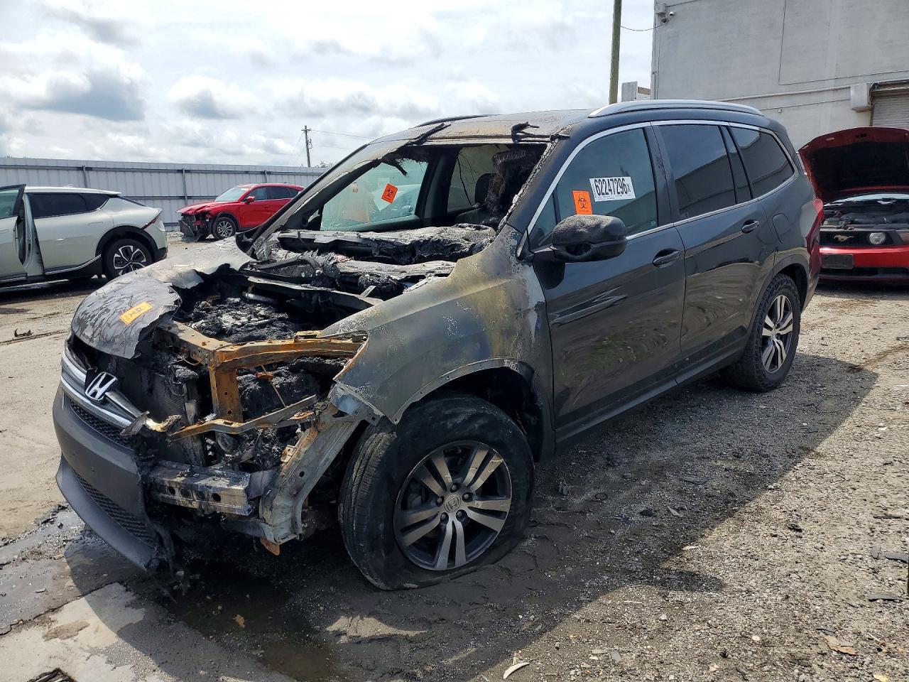 5FNYF6H59GB081242 · 2016 HONDA PILOT