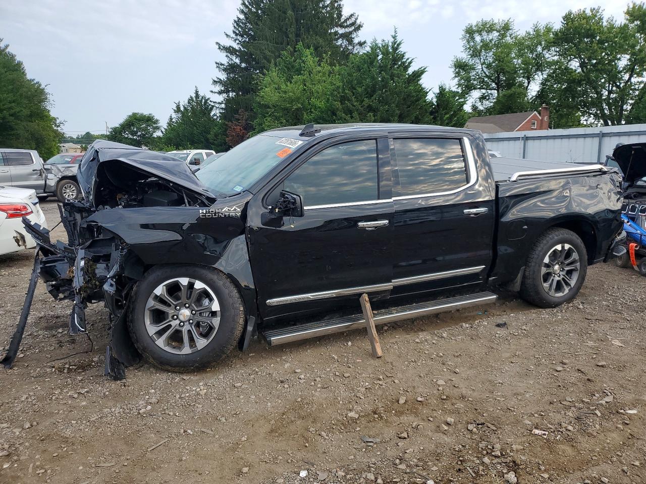 1GCUKJELXSZ199772 · 2025 CHEVROLET SILVERADO