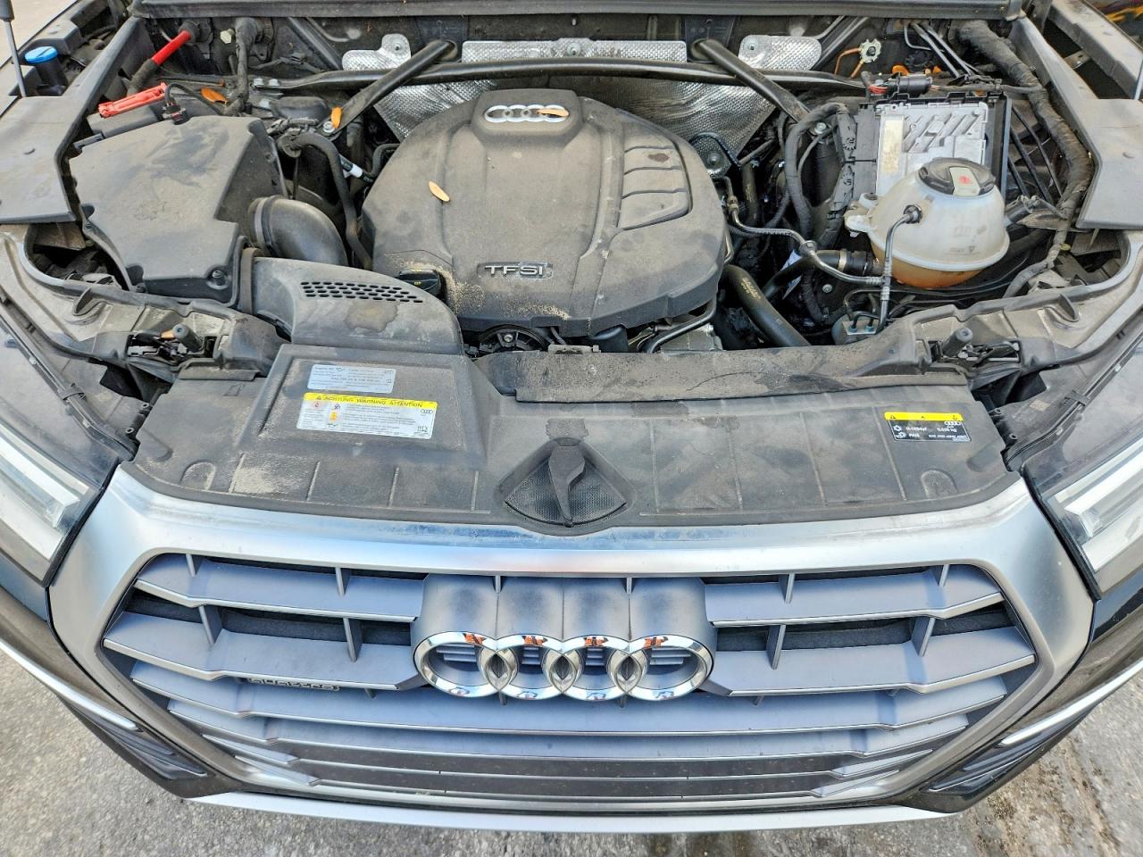 WA1ANAFY3K2111636 · 2019 AUDI Q5 · 12/13