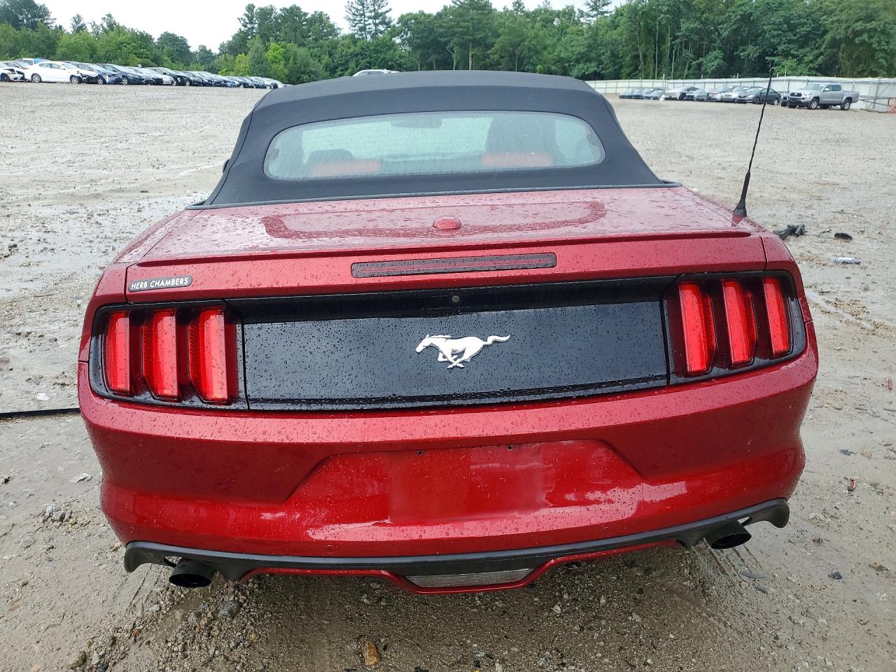 1FATP8UH3G5244638 · 2016 FORD MUSTANG · 6/13