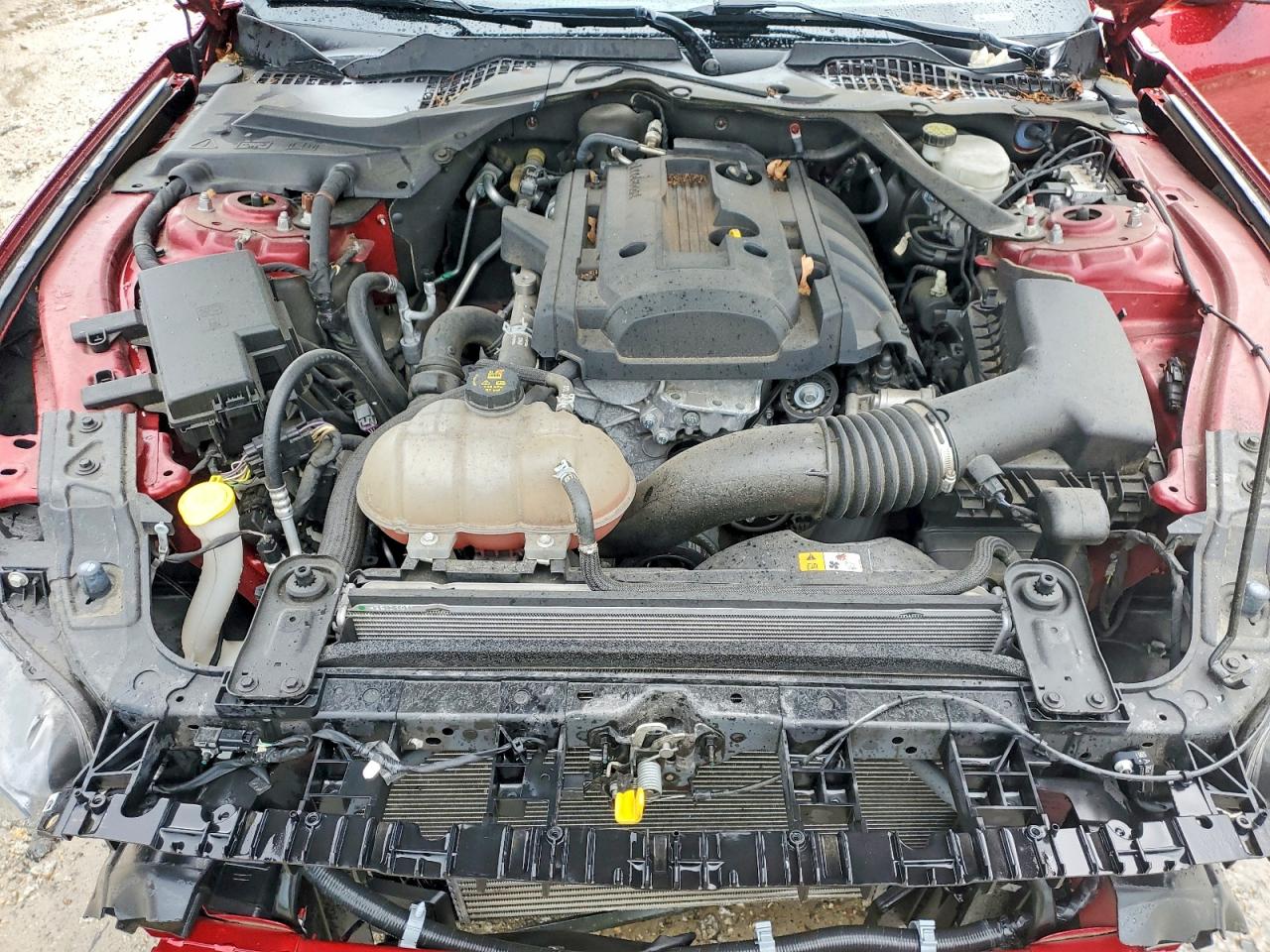 1FATP8UH3G5244638 · 2016 FORD MUSTANG · 11/13