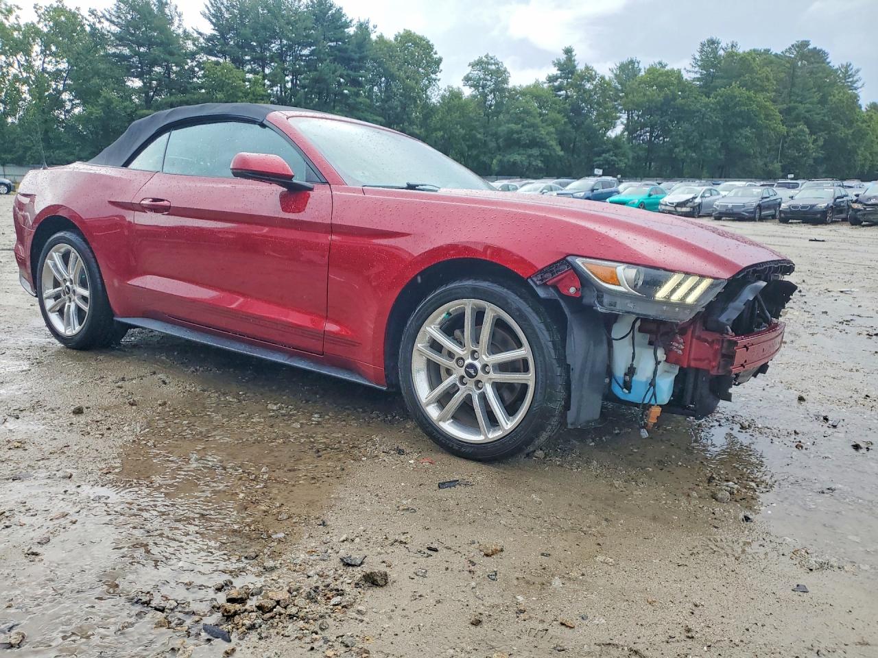 1FATP8UH3G5244638 · 2016 FORD MUSTANG · 4/13