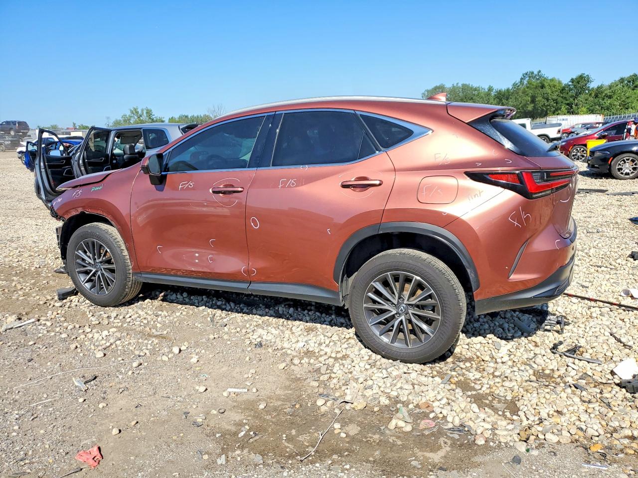 2T2GKCEZ2SC036617 · 2025 LEXUS NX 350H · 2/14