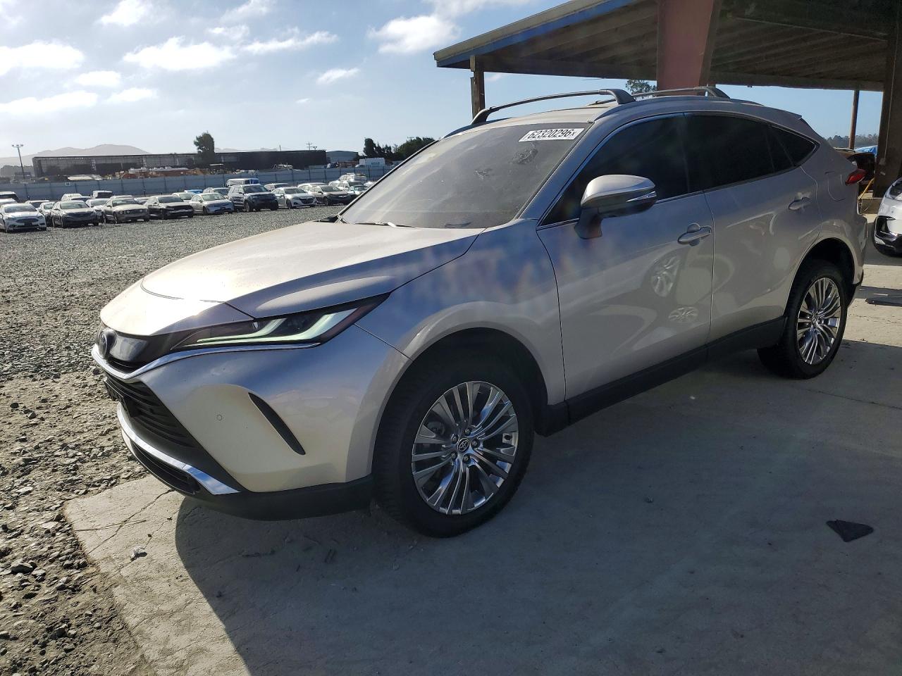 2024 TOYOTA VENZA