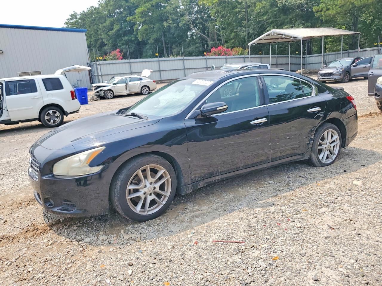 1N4AA51E19C857163 · 2009 NISSAN MAXIMA