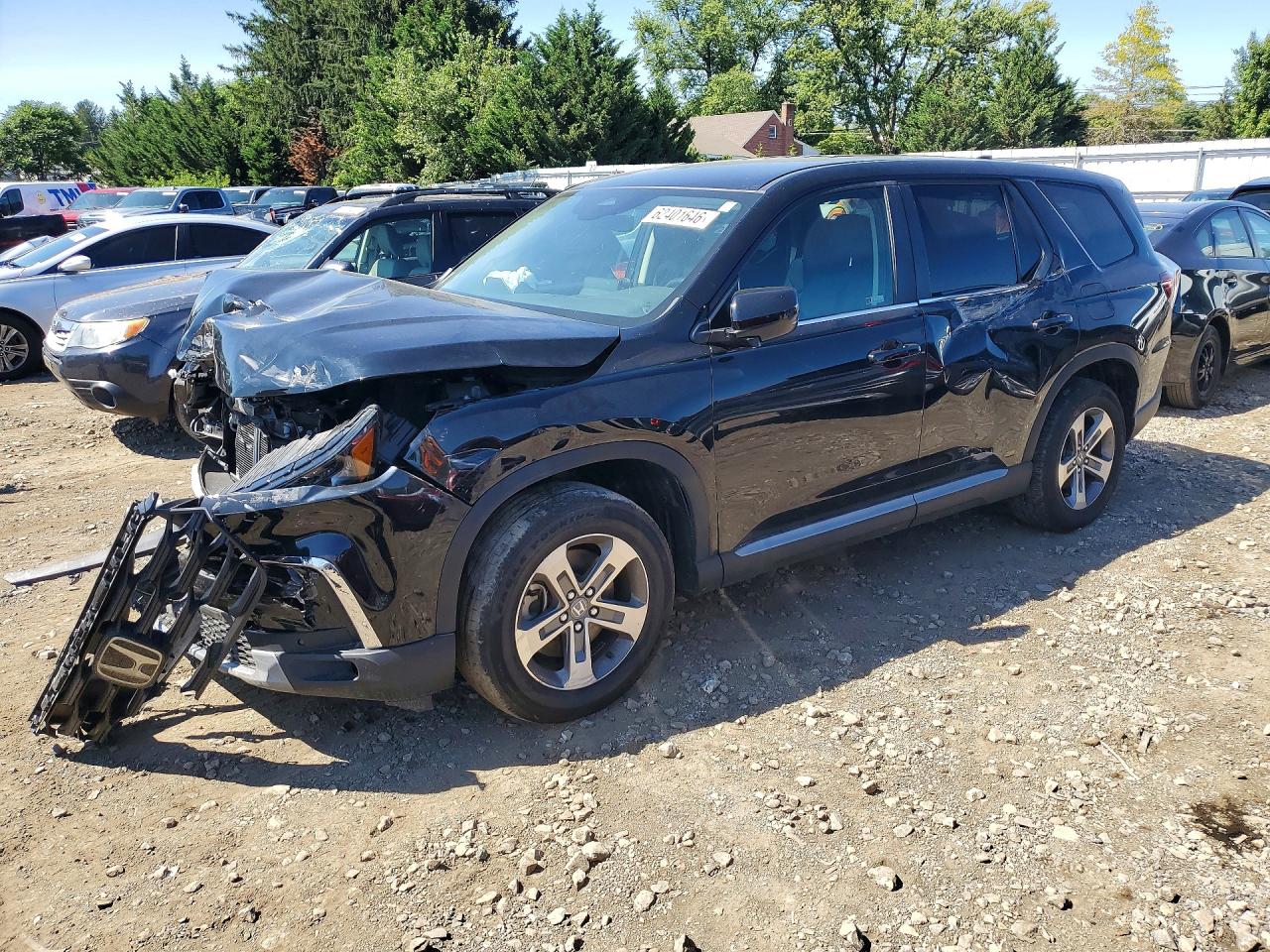 5FNYG1H59RB026647 · 2024 HONDA PILOT